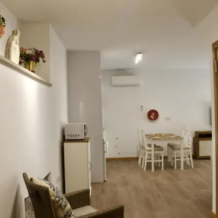 Platanos & River Apartments Ponte de Lima Zewnętrze zdjęcie
